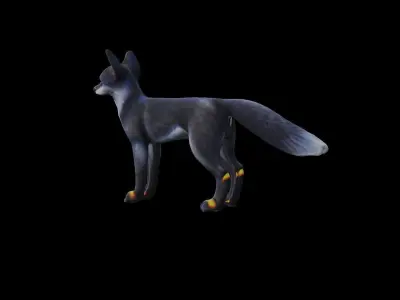 Gray Fox low poly Low-poly 3D model
