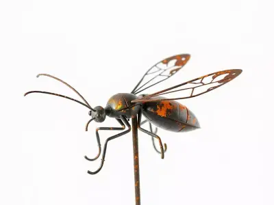 Insect Model Pack with Detailed Textures and LOD Options Low-poly 3D model