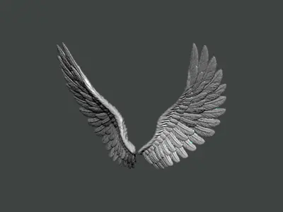 3D Model-WING0007 pair of silver wings 3D print model
