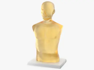 Ballistic Gel Dummies Collection 3D model