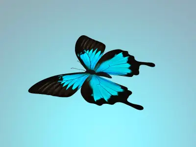 Butterflly butterfly flying in sky 3D model