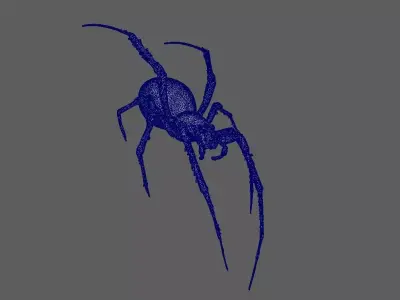 Spider 3D model 14