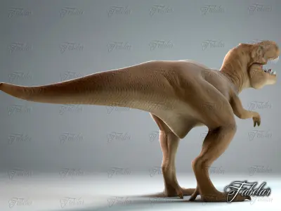 Tyrannosaurus Rex Low-poly 3D model 13