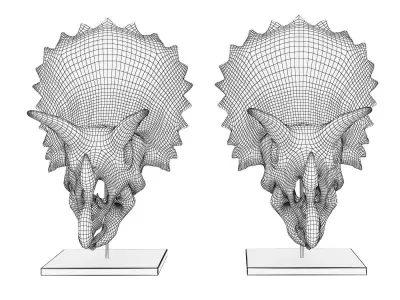Triceratops skull 3D model purchase