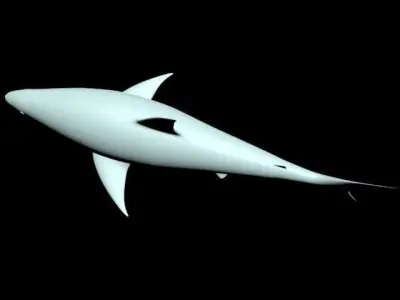  sea shark  3D model