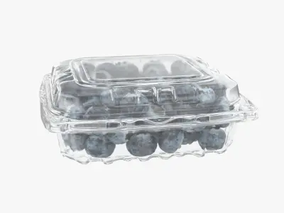 Blueberry Package 3D model