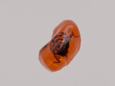 Insects in amber asset collection 3D model