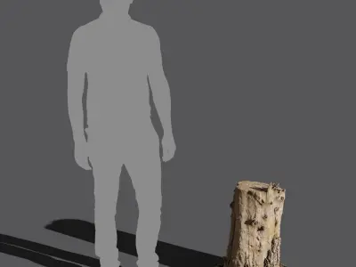  Medium Cut Bare Split Stump Model 