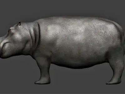 Hippopotamus fully rigged Low-poly 3D model