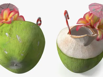 Tropical Coconut Beverage with Flowers and Umbrella 3D model