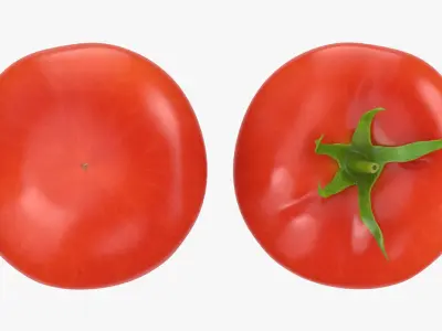  Tomato Collection 
