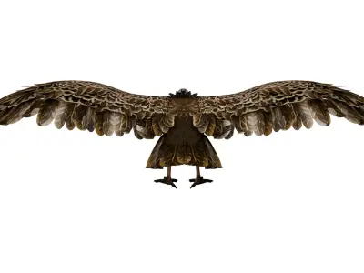 Vulture 3D model purchase
