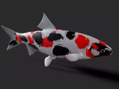 fish animals Low-poly 3D model