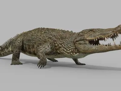 Crocodile PRO - 8K 3D Animated Crocodile Model   3D model