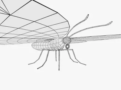 Butterfly Low-poly 3D model purchase