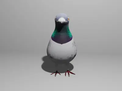 Pigeon Obj and Blend Low-poly 3D model