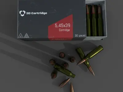 Cartridges and box with them 3D model