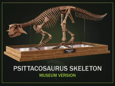 Psittacosaurus 3D model