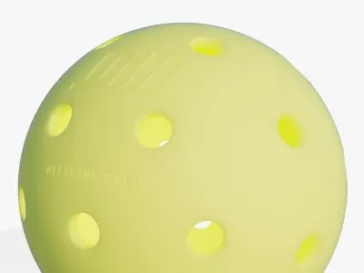 Outdoor Pickleball 3D model