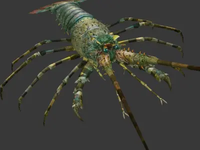 lobster    Australian lobster Low-poly 3D model