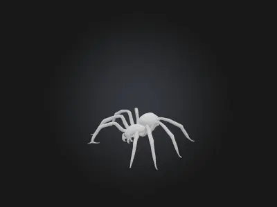Giant Spider Low-poly 3D model purchase