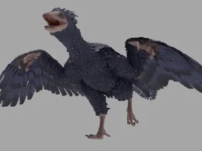 Archaeopteryx Free low-poly 3D model