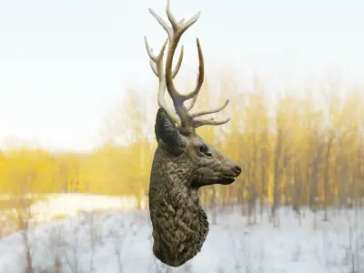 Deer Head Low-poly 3D model
