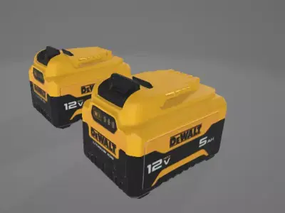 DEWALT XR 12-Volt Max 2-Pack 5 Amp-Hour 3D model