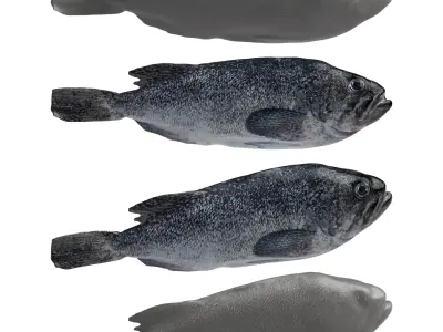 Seafood Shops Pack 01 3D model