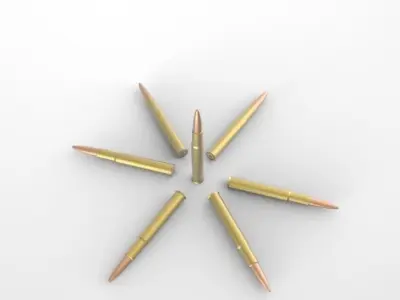 308 bullets Free 3D model