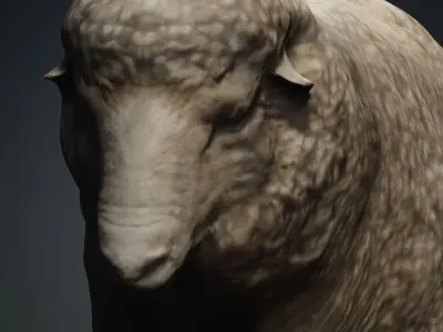 Animal Ram Free 3D model
