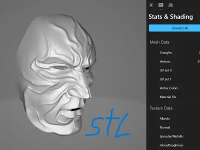 Face of Tension 3D model