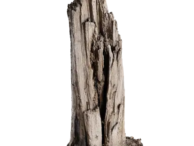  Tall Broken Splintered Stump Model 