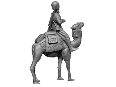  Camels in British army  3D print model