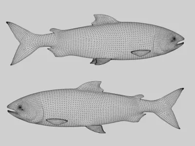 Rainbow Trout Low-poly 3D model 3D model