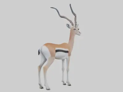 Soemmerrings gazelle Low-poly 3D model