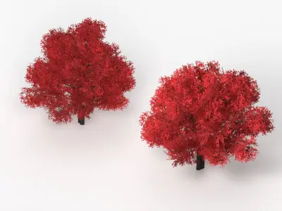  Realistic Lowpoly Red Maple Foliage Tree 