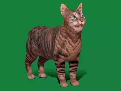 Manx Cat Free low-poly 3D model