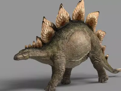 Stegosaurus animations Low-poly 3D model
