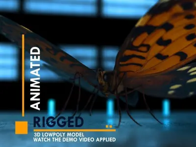 Butterfly Low-poly 3D model 2