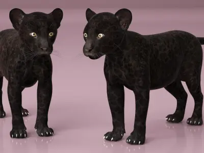 Panther Cub 3D model