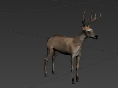 deer  stag animale forest  elk  mammal horn  3D model
