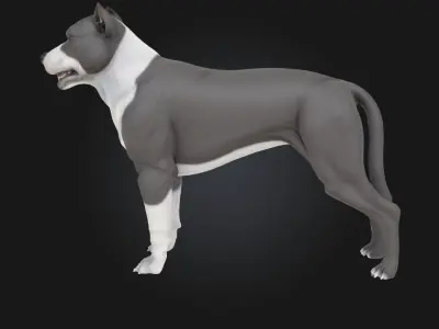 Smiling Pup Cute Dog Model  3D model
