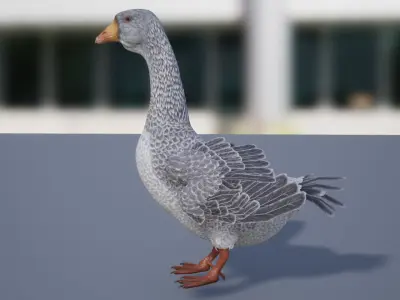 Goose  Low-poly 3D model