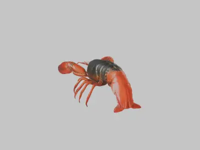Lobster Low-poly 3D model purchase