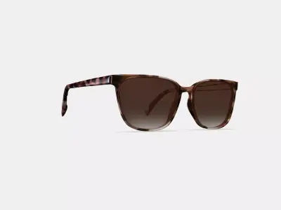 Esme Sunglasses in Sesame Tortoise 3D model