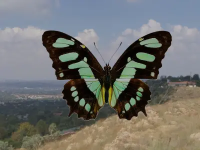 butterflies animation Low-poly 3D model