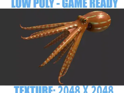 Octopus Low-poly 3D model get