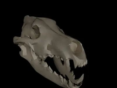 Dire Wolf Skull 3D model