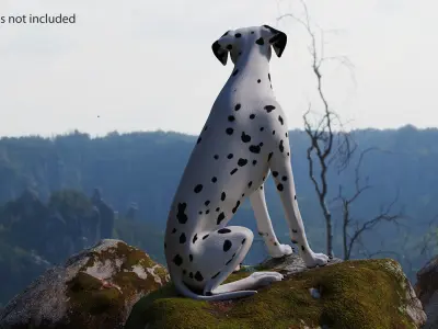 Dalmatian Dog Sitting Pose 3D model